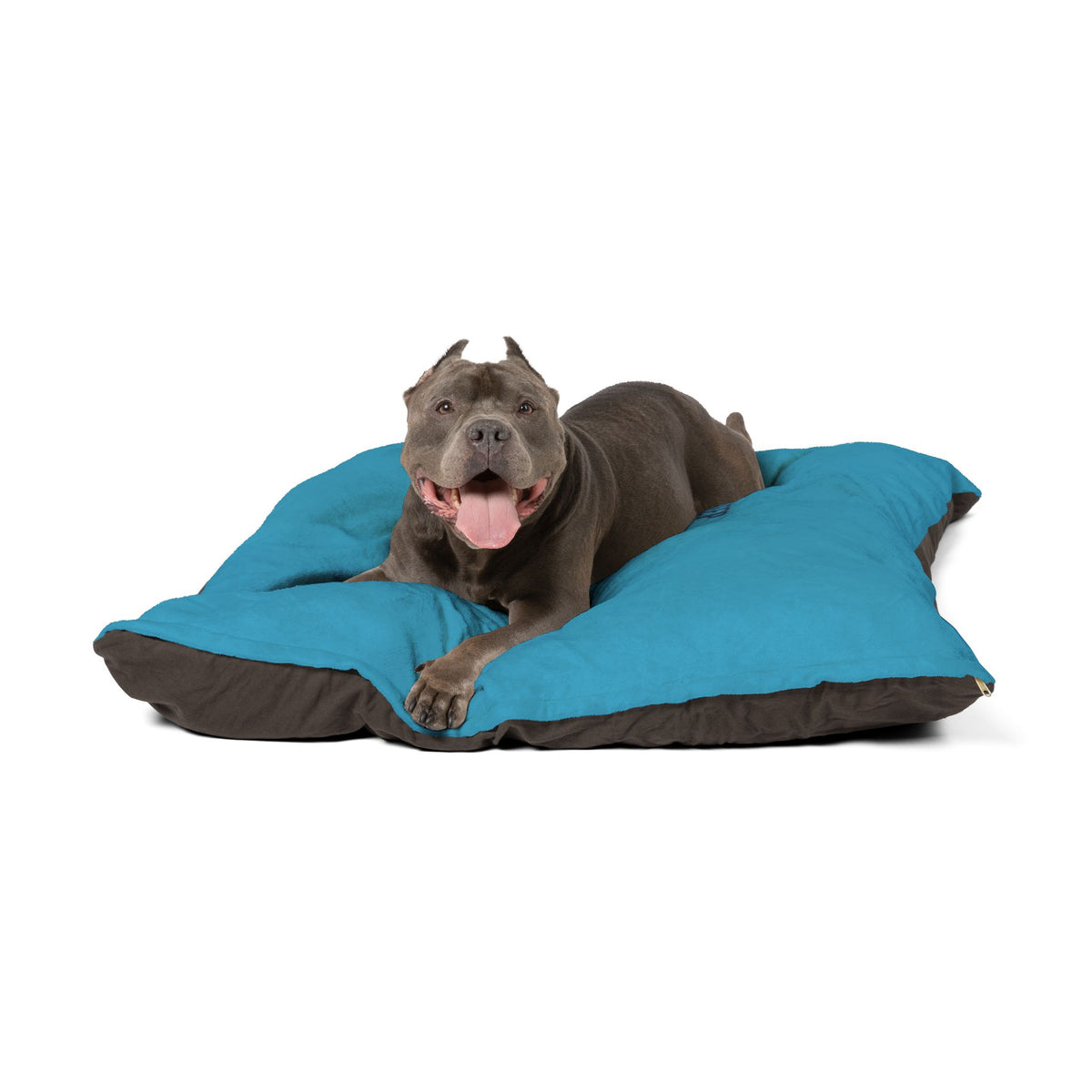Comfortable trucking-themed pet bed by Printify, featuring a cozy design perfect for small pets to rest and sleep comfortably.