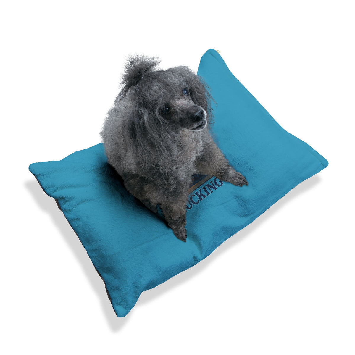Comfortable trucking-themed pet bed by Printify, featuring a cozy design perfect for cats or small dogs.