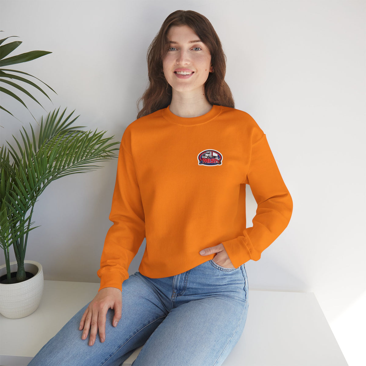 Patriotic unisex crewneck sweatshirt with "We Drive America's Economy" design in ash color, by Printify.