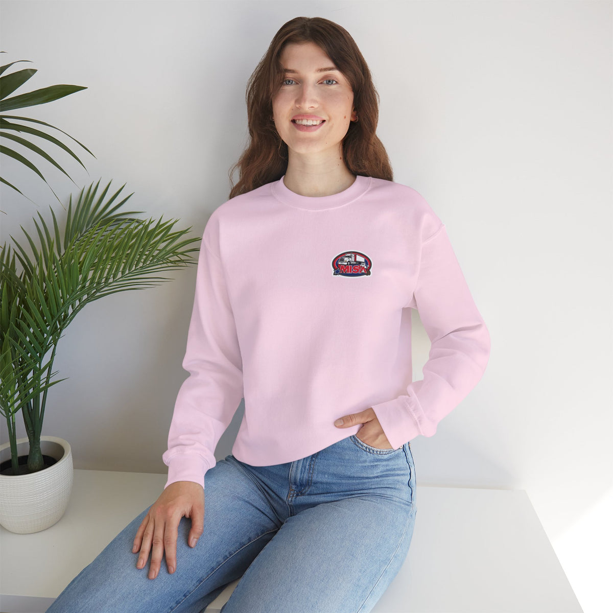 Unisex patriotic crewneck sweatshirt by Printify with "We Drive America's Economy" design, ash color, featuring bold text and casual fit.